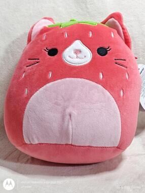 Squishmallow OLMA strawberry cat